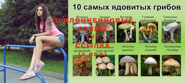 дурь Коряжма