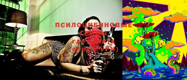 дурь Коряжма