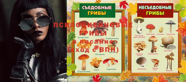 apvp Корсаков