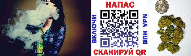 где купить   Мосальск  кракен сайт  Шишки марихуана THC 21% 